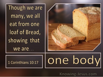 The Divine Order of Spiritual Fellowship